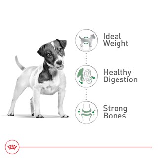 Foto 4 | Foto 4 | Alimento Para Perros Royal Canin Size Health Small Adult 30 Libras - Venta Internacional.
