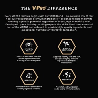 Foto 4 | Foto 4 | Alimento Para Perros Victor Super Premium Realtree Max-5 Pro, 18,14 Kg, 30% De Proteínas, Sin Gluten - Venta Internacional.