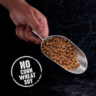 Foto 7 | Foto 7 | Comida Para Perros Crave, Sin Cereales, Con Alto Contenido De Proteínas, 13,6 Kg - Venta Internacional.