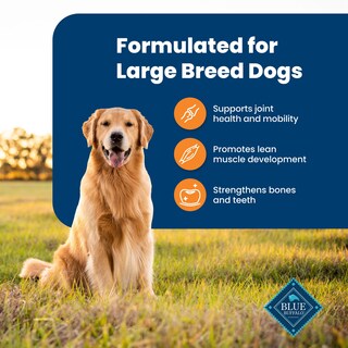 Foto 4 | Foto 4 | Alimento Para Perros Blue Buffalo Life Protection, Raza Grande, 13,6 Kg - Venta Internacional.