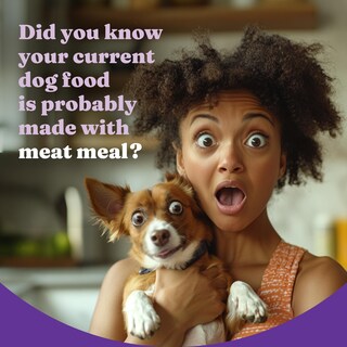 Foto 2 | Foto 2 | Comida Para Perros Halo Holistic Para Adultos, Vegana, A Base De Plantas, Bolsa De 1,6 Kg - Venta Internacional.