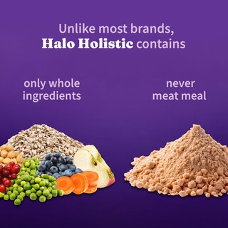 Foto 3 | Foto 3 | Comida Para Perros Halo Holistic Para Adultos, Vegana, A Base De Plantas, Bolsa De 1,6 Kg - Venta Internacional.