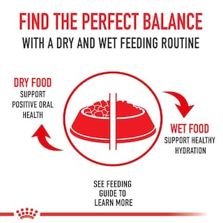 Foto 5 | Foto 5 | Alimento Para Perros Royal Canin Bichon Frise Adult 1,36 Kg - Venta Internacional.