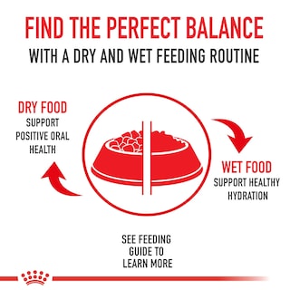 Foto 3 | Foto 3 | Alimento Para Perros Royal Canin Breed Health Nutrition Para Cachorros De Schnauzer En Miniatura, 1,1 Kg - Venta Internacional.