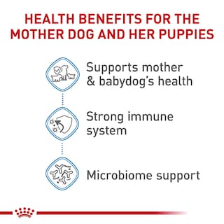 Foto 3 | Foto 3 | Comida Para Perros Royal Canin Size Health Small Starter, Bolsa De 1,1 Kg - Venta Internacional.