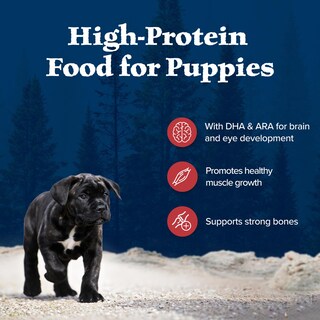 Foto 4 | Foto 4 | Alimento Seco Blue Buffalo Wilderness Rocky Mountain Cachorros, 2 Kg - Venta Internacional.