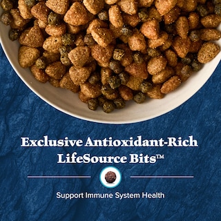 Foto 7 | Foto 7 | Alimento Seco Blue Buffalo Wilderness Rocky Mountain Cachorros, 2 Kg - Venta Internacional.