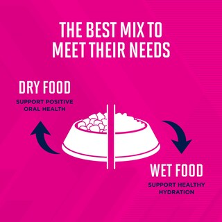 Foto 5 | Foto 5 | Pienso Para Perros Eukanuba Senior Medium Breed 13.6 Kg - Venta Internacional.