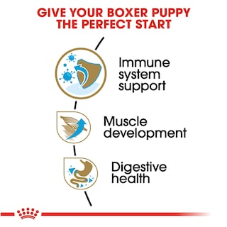 Foto 3 | Foto 3 | Alimento Para Perros Royal Canin Boxer Puppy Breed Specific 13.6 Kg - Venta Internacional.