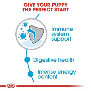 Foto 3 | Foto 3 | Alimento Para Perros Royal Canin Size Health Nutrition Para Cachorros Pequeños De 1,8 Kg - Venta Internacional.