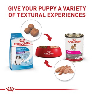 Foto 5 | Foto 5 | Comida Para Perros Royal Canin Size Health Nutrition Para Cachorros Gigantes De 13,6 Kg - Venta Internacional.