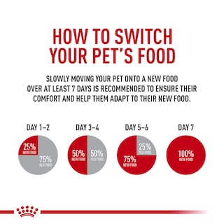 Foto 3 | Foto 3 | Alimento Para Perros Royal Canin Beagle Adult 13.6 Kg - Venta Internacional.