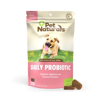Foto 1 | Foto 1 | Probiotic Pet Naturals Con Sabor A Pato Para Perros, 160 Unidades Masticables, 120 Millones De Cfu - Venta Internacional.