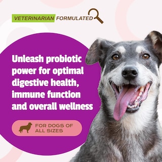 Foto 2 | Foto 2 | Probiotic Pet Naturals Con Sabor A Pato Para Perros, 160 Unidades Masticables, 120 Millones De Cfu - Venta Internacional.