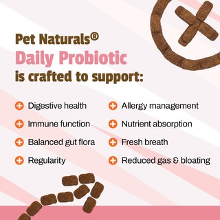 Foto 3 | Foto 3 | Probiotic Pet Naturals Con Sabor A Pato Para Perros, 160 Unidades Masticables, 120 Millones De Cfu - Venta Internacional.