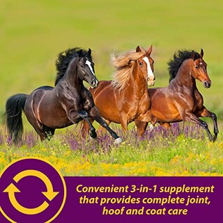 Foto 3 | Foto 3 | Suplemento Horse Health Joint Combo Hoof & Coat 1.7 Kg - Venta Internacional.