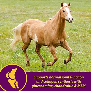 Foto 4 | Foto 4 | Suplemento Horse Health Joint Combo Hoof & Coat 1.7 Kg - Venta Internacional.