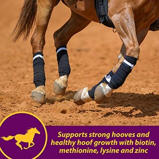Foto 5 | Foto 5 | Suplemento Horse Health Joint Combo Hoof & Coat 1.7 Kg - Venta Internacional.