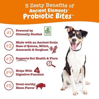 Foto 3 | Foto 3 | Suplemento Para Perros Zesty Paws, Probióticos, Enzimas Digestivas, 90 Unidades - Venta Internacional.