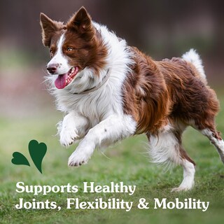 Foto 5 | Foto 5 | Suplementos Greenies Hip And Joint Para Perros, 30 Pastillas Para Masticar - Venta Internacional.
