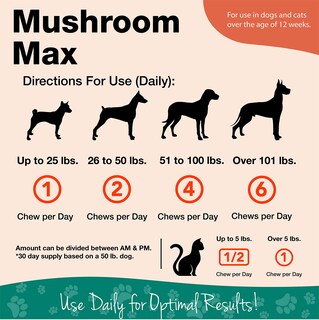 Foto 3 | Foto 3 | Suplemento Para Perros Naturvet Mushroom Max Immune Support 120 Unidades - Venta Internacional.