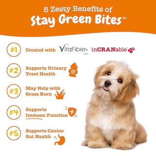 Foto 2 | Foto 2 | Suplemento Zesty Paws Stay Green Bites Para Perros, 90 Unidades Masticables - Venta Internacional.