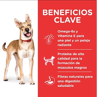Foto 4 | Foto 4 | Hill's Canino Adult 15 Kg 1 Unid X Caja