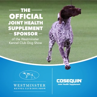 Foto 4 | Foto 4 | Suplemento Para La Salud De Las Articulaciones Nutramax Cosequin Ds Para Perros 250 Comprimidos - Venta Internacional.