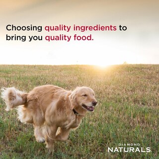 Foto 5 | Foto 5 | Alimento para Perro Diamondnaturals Chiken & Rice Formula 18.14 Kg