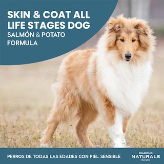 Foto 2 | Foto 2 | Alimento para Perro Diamondnaturals Salmon & Potato Formula 13.58 Kg