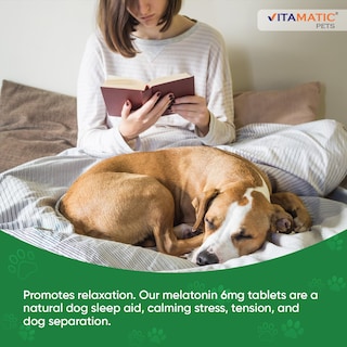 Foto 5 | Foto 5 | Suplemento Vitamínico De Melatonina Para Perros 6 Mg 120 Comprimidos - Venta Internacional.