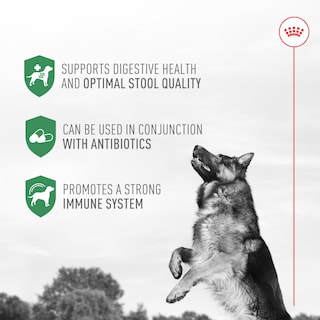Foto 5 | Foto 5 | Suplemento De Probióticos Royal Canin Para La Salud Digestiva De Los Perros - Venta Internacional.