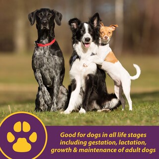 Foto 2 | Foto 2 | Suplemento Farnam Horse Health Canine Red Cell 1l Para Perros - Venta Internacional.