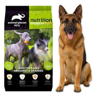 Foto 4 | Foto 4 | Alimento Balanceado Razas Grandes Zoohugs Mxnpw-002 2 Piezas Multicolor Perro Adulto Raza Mediana Y Grande