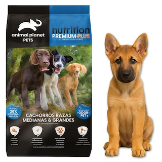 Foto 4 | Foto 4 | Alimento Para Cachorrito Zoohugs Mxapc-002 2 Piezas Multicolor Perro Adulto Raza Mediana Y Grande