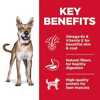 Foto 4 | Foto 4 | Alimento Seco Para Perros Hill's Science Diet, Adulto, Recet - Venta Internacional.