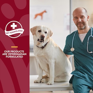 Foto 6 | Foto 6 | Suplemento Naturvet Bladder Support Plus Cranberry Para Perros - Venta Internacional.