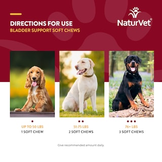 Foto 7 | Foto 7 | Suplemento Naturvet Bladder Support Plus Cranberry Para Perros - Venta Internacional.