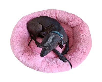Foto 5 | Foto 5 | Cama Anti Estrés Lunics color Rosa Jumbo