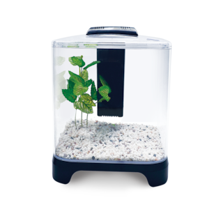 Foto 1 | Foto 1 | Acuario Pecera Mini Lomas Transparente de 6 l