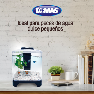 Foto 3 | Foto 3 | Acuario Pecera Mini Lomas Transparente de 6 l