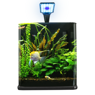 Foto 2 | Foto 2 | Acuario Nano Cubo Lomas Transparente de 18 l