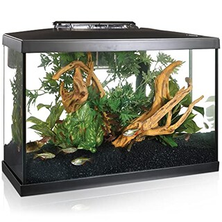 Foto 1 | Foto 1 | Kit De Acuario Marina Para Pecera De 20 Galones Con Led - Venta Internacional.