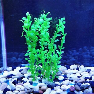 Foto 3 | Foto 3 | Plantas Artificiales Para Pecera De Acuario, 3 Piezas, De Plástico Verde - Venta Internacional.