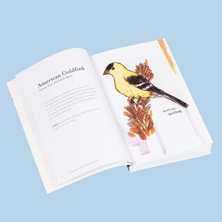 Foto 6 | Foto 6 | Crónica Del Libro La Guía De Campo De Las Aves Tontas De América Del Norte - Venta Internacional.