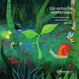 Foto 1 | Foto 1 | Un Estuche Misterioso