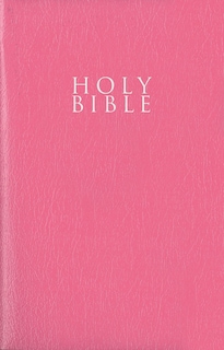 Foto 1 | Foto 1 | Libro Niv, Regalo Y Premio De La Biblia, Con Aspecto De Cuero, Rosa Y Letra Roja - Venta Internacional.