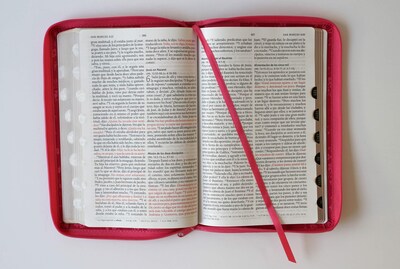 Foto 5 | Foto 5 | Biblia Reina Valera 1960 Letra Grande. Símil Piel Fucsia, Cremallera, Índice, Ma Nual/biblia En Espa - Venta Internacional.