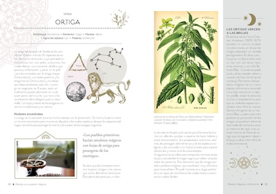 Foto 3 | Foto 3 | Plantas Con Poderes Mágicos De Gemma Mateos Marin Tapa Dura