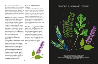 Foto 4 | Foto 4 | Magia De La Tierra. Guía De La Bruja Del Bosque De Lindsay Squire Librero Tapa Blanda
